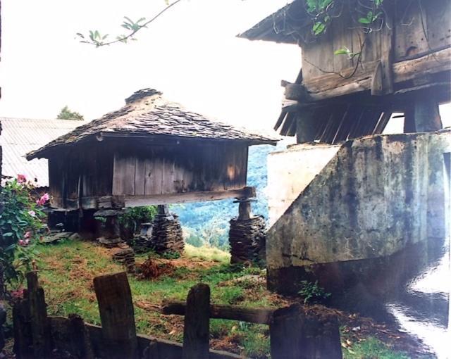 Hotel Nueva Allandesa Pola de Allande エクステリア 写真